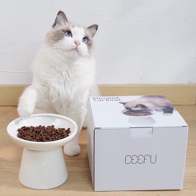 Extra Wide Elevated Ceramic Cat Bowl, 6.2" Shallow Dish for Whisker Fatigue Relief, 5" Height for Easy Feeding, Durable Raised Cat Food Bowls, Pack of 2, White