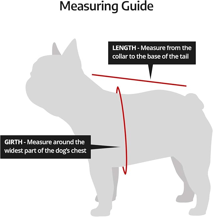 K9 Sport Sack Air 2 - Small, Light Grey - Ideal for Dogs with 13-16” Back Length - Durable, Breathable Backpack-Style Carrier - Perfect for Walks, Short Hikes & Public Transportation