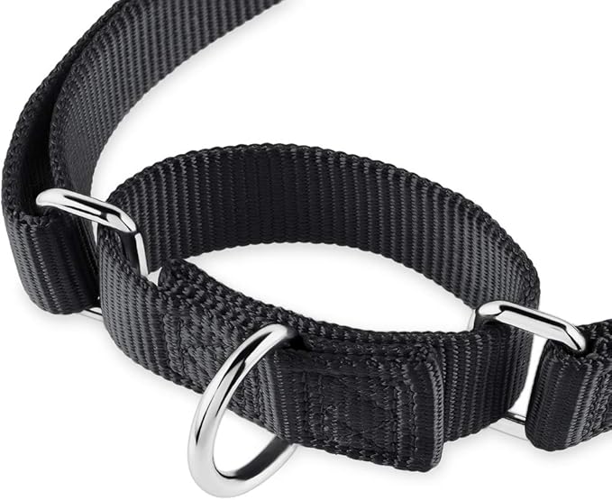 Hyhug Martingale Dog Collar Without Buckle: Anti Escape, No Slip Heavy Duty Nylon, Colorfast Adjustable Pet Supplies for Small Breeds(Small,Black)