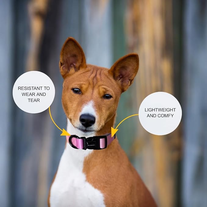 HILLBERRY Dog Collar and Leash Set Adjustable Rainbow Pink Purple Blue Puppy Pet Essentials and Supplies - Size L