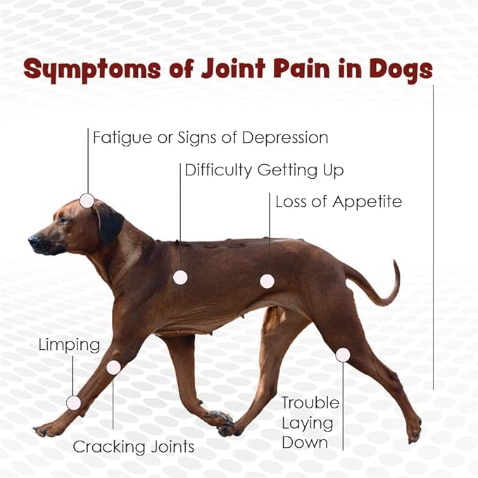 TS Joint Supplement Vet Formulated Pain & Inflammation Relief Treats Hip Dysplasia & Arthritis.Glucosamine, Chondroitin, Turmeric, MSM, HA, Creatine, Omega 3 EPA+DHA. All Dogs 240 Soft Chews