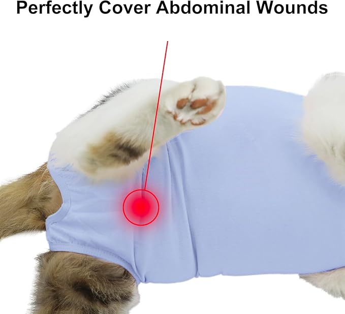 Cat Recovery Suit, Surgical Recovery Clothes for Abdominal Wound or Skin Disease, Cats Onesie After Surgery and Spay, E-Collar Alternative Pajama Suit (Blue, Medium)