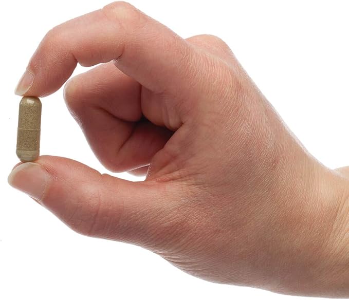 PetAlive Pancreas Booster - All Natural Herbal Supplement for Pancreatic Health and Digestive Functioning in Cats and Dogs - Supports Healthy Insulin Production - 60 Veggie Caps