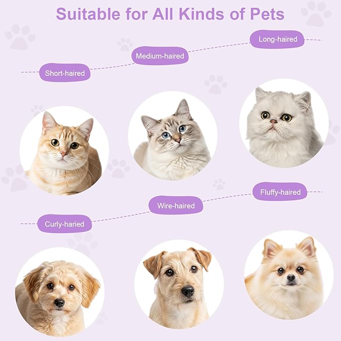 Rechargeable Cat Steam Brush with Mist Spray, 3-in-1 Pet Steam Brush for Long and Short Haired Cats and Small Dogs, Anti-Static, De-Shedding, Detangling, Massage, Purple Cat Design