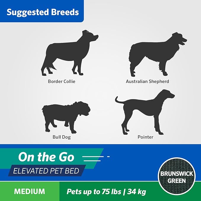 Coolaroo On-The-Go Elevated Dog Bed - Foldable Pop-Up Travel Dog Bed with Breathable, Moisture-Resistant Fabric, Carry Bag Included, Lightweight & Portable, Brunswick Green, Medium