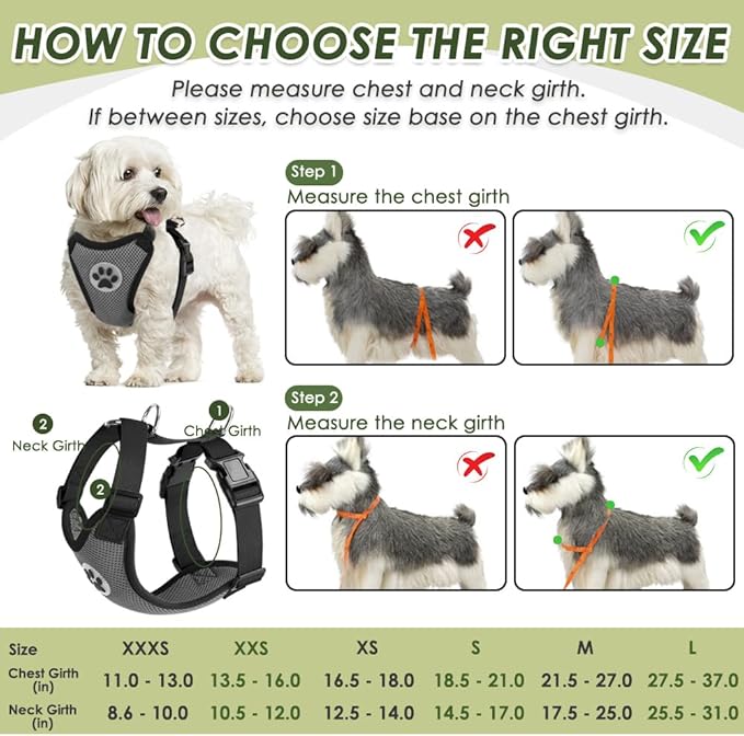 SlowTon Dog Seat Belt Harness for Car, Dog Car Harness Adjustable Mesh Breathable & Dog Seatbelt Safety Tether with Elastic Bungee for Small Medium Large Pets(Grey, Double Clip, XXXS)