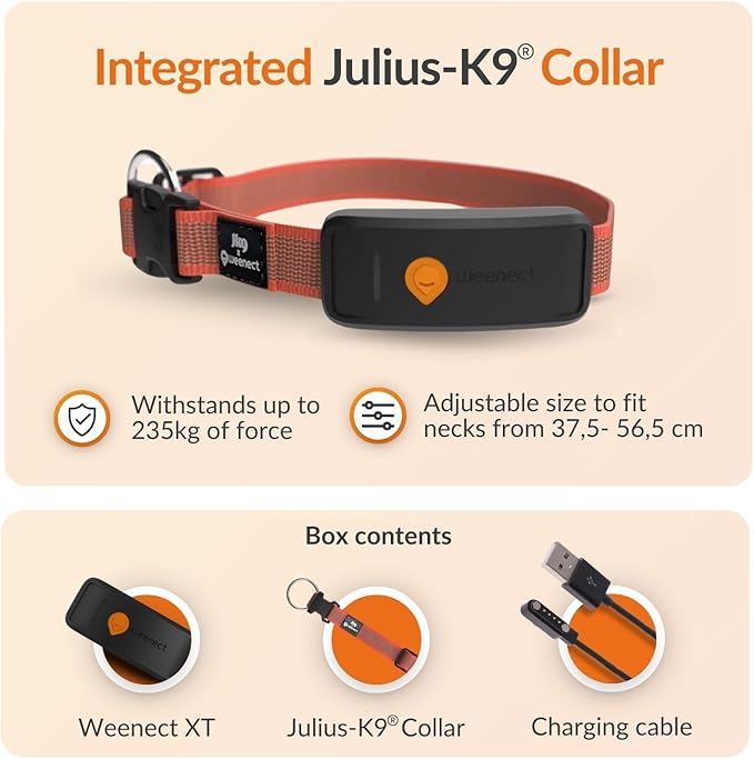 Weenect Dog XT - New GPS Collar for Dogs | XL Antenna | Waterproof | Ultra-Durable Integrated Julius-K9 Collar | Subscription Required