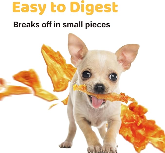 iPaw Turkey Tendons for Dogs, 100% Turkey and US Sourced Raw Material, Hypoallergenic, All Natural Human Grade Puppy Chew, Rawhide Alternative Dog Treats, 10 Unit/Box Bone (Large)