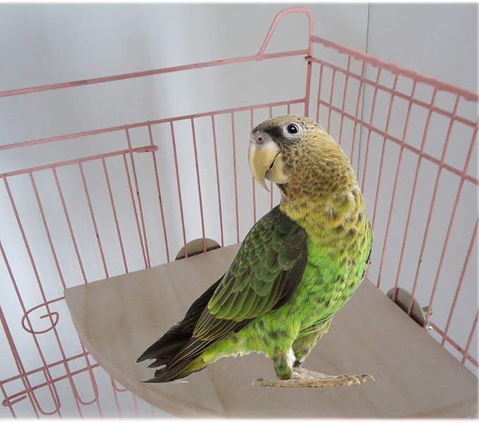 Parrot Cage Perch,Wooden Platform Stand,Cage Perches,Tree Springboard,Corner Shelf Laddered,Hanging Swing,Natural Wood Branches for Parakeets Bird Chinchilla Hamster Guinea Squirrel Hedgehog