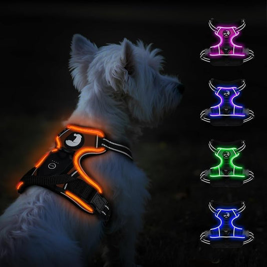 Taglory Light Up Dog Harness, Rechargeable No Pull Dog Vest with 3 Lightning Modes, Reflective Dog Harness with 2 Leash Clips & 4 Adjustable Slide Strips for Small Dogs, Orange-Orange, S