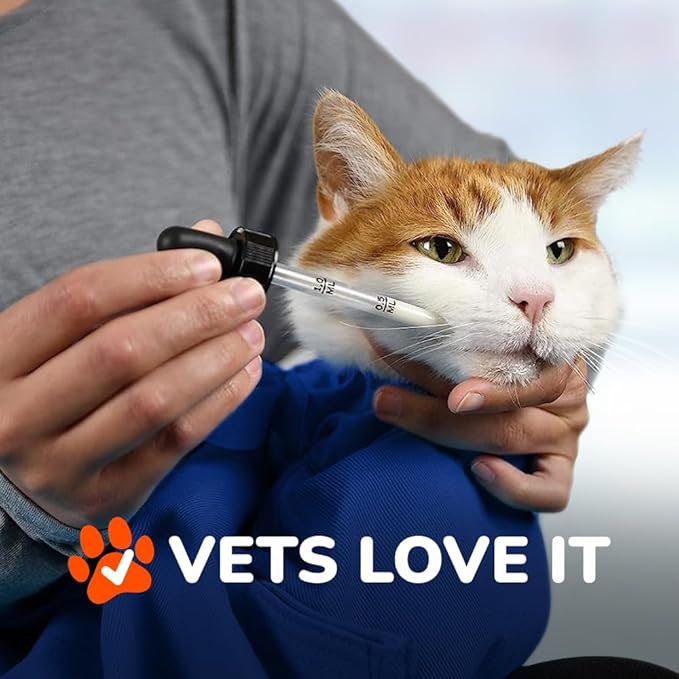 Cozy Comfort Carrier - Large Cobalt Blue Cat Carrier Soft for Grooming, Vet Visits, Medication Administration, Dental Care, Nail Trimming, and Car Travel