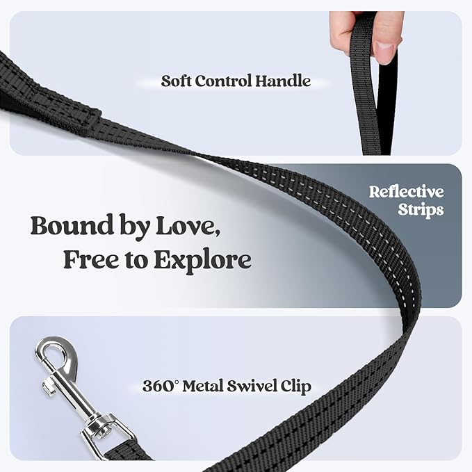 rabbitgoo Dog Harness Small Sized and Leash Set, Step in Soft Light Puppy Vest, Breathable Mesh Pet Harness, Reflective for Safe Easy Walking, Black M