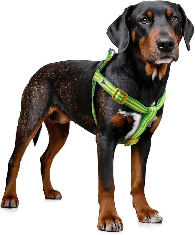 Stripe Step in Dog Harness for Small Dogs, Freedom Nylon Dog Halter Vests, Lightweight and Escape Proof Puppy Harness, Quick Fits for Small Medium and Large Dogs, Green M