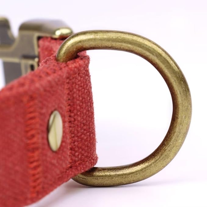 PET ARTIST Dog Collars for Small Dogs, Soft Padded Premium Nylon Dog Collar with Quick Release Metal Buckle, Durable & Adjustable Pet Collars for Boy Gifts, Red, S (Fit 10-16")