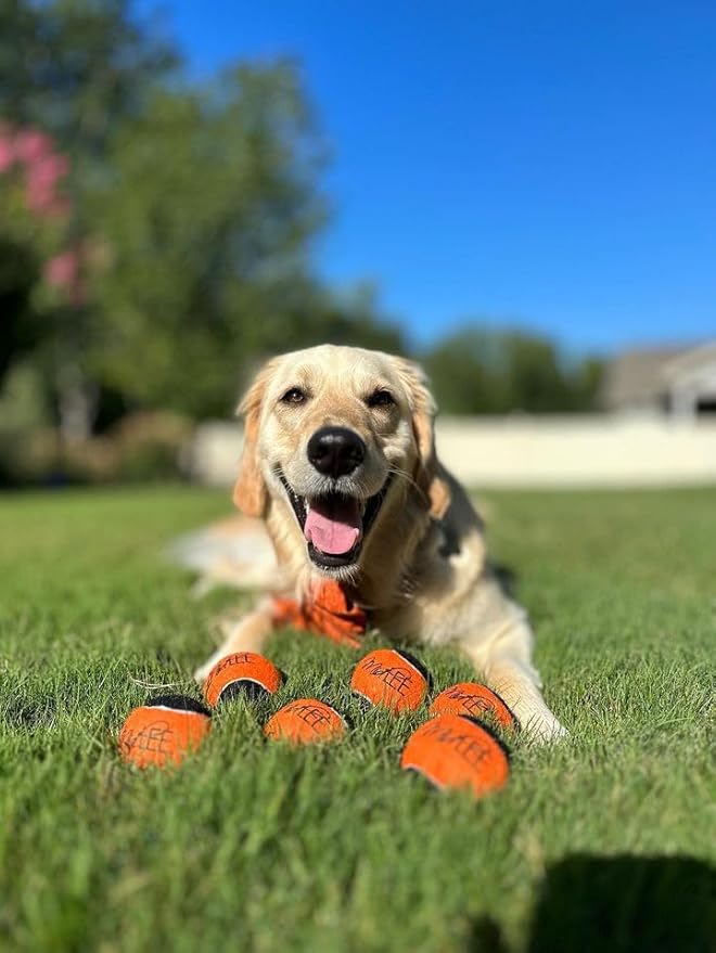 Midlee Orange/Black Dog Halloween Tennis Balls- Set of 6
