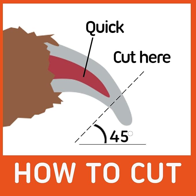 GoPets Grooming Kit Bundle with 2 Sided Dematting Comb and Deshedding Rake + Nail Clipper for Dogs and Cats Includes Nail File and Trimmer