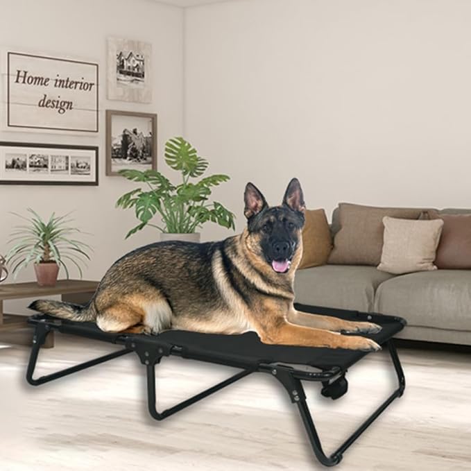 Elevated Raised Small Meduim Dog Bed Cots,Cooling Foldable No Assembly Need Pet Hammock Bed with Breathable Mesh, Indoor Outdoor Dog Pet Bed for Small Meduim Dogs, Chew Proof, Black