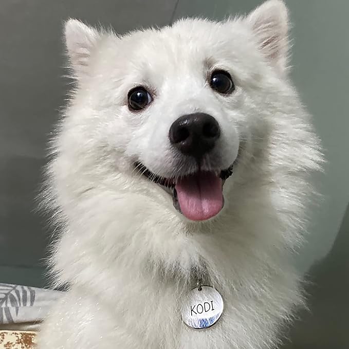 Premium 316 Surgical Grade Stainless Steel Personalized Dog & Cat ID Tags - Fun Shapes for Sporty Outdoor Pets - Custom Engraved Name & Info for Collar Accessories & Pet Necklaces Square 5 Color