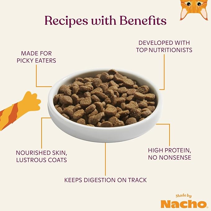 Made by Nacho Dry Cat Kibble 4lb Bag, High Protein and Grain-Friendly Premium Cat Food, Sustainably Caught Salmon and Pumpkin, Infused with Bone Broth for Hydration, Limited Ingredients, Single Bag
