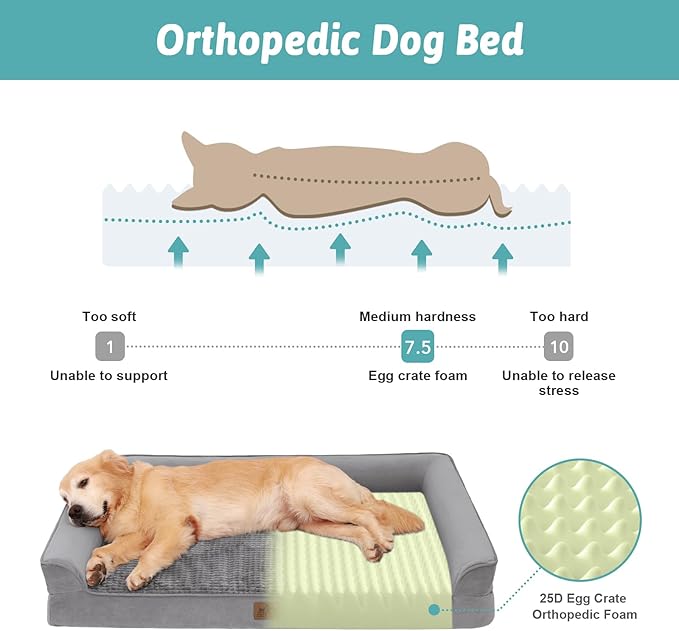 Orthopedic Dog Bed for Large Dog, XL Pet Couch for Extra Large Dog, Big Supportive Foam Bolster Sofa with Waterproof Lining Cover, Anti-Slip, Comfort, Washable, 42x30x7.5 in, U Shape, Grey