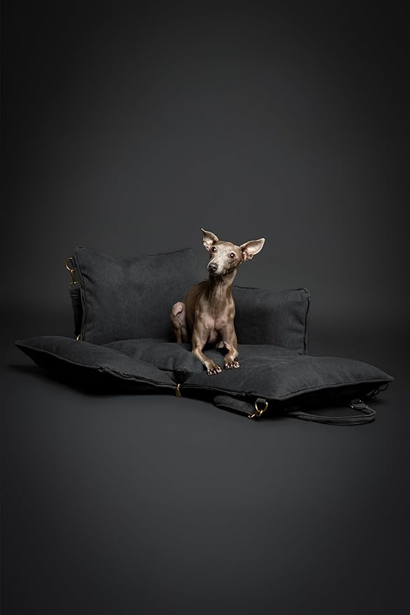 Noah & Paw Dog Car Seat Carrier, Small Dog Car Seat for Small Medium Pets with Harness Clip, 4X Safety Feature, Booster Travel Bed, Waterproof Washable, Orthopedic Foam Filling, Canvas Collection