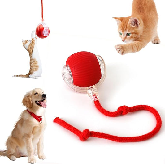 Interactive Cat Toys for Indoor Cats, 360° Smart Automatic Kitten Toys Self Rolling Pet Ball, Moving Dog Cat Ball with Mesh Tail for Bored, USB Rechargeable (Red)