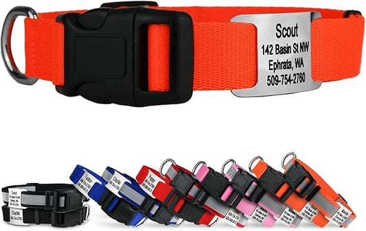 GoTags Personalized Dog Collar with Nameplate, Adjustable Dog Collar with Custom Engraved Slide On Pet ID Tag in Stainless Steel, Silent, No Noise Dog Tag for Large Medium and Small (Orange, X-Small)