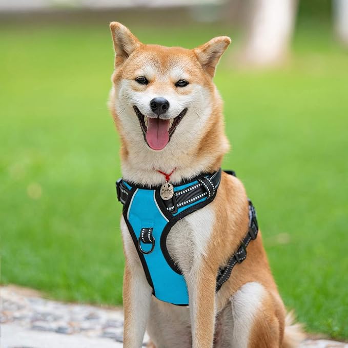PoyPet No Pull Dog Harness, Reflective Comfortable Vest Harness with Front & Back 2 Leash Attachments and Easy Control Handle Adjustable Soft Padded Pet Vest for Small to Large Dogs (Blue,XL)
