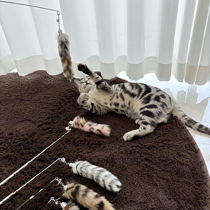 Interactive Cat Wand Toy with Cat Dancer, Retractable Feather Fox Tail Teaser for Indoor Cats, Enrichment Play Kittens to Senior Cats(Moon Grey)