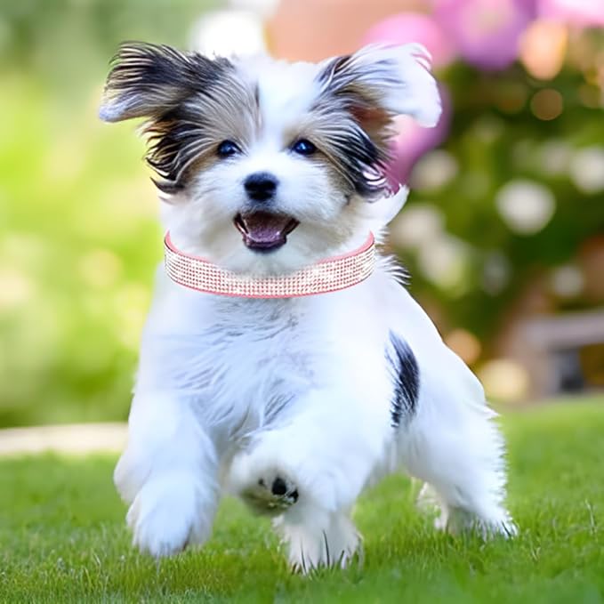 Rhinestone Dog Collar for Small Dogs, Bling Diamond Fancy Crystal Glitter Pretty Jewel Pet Puppy Collars for XXS XS Small Medium Large Breed Girl Dogs Female Cats Kitten, Hot Pink L