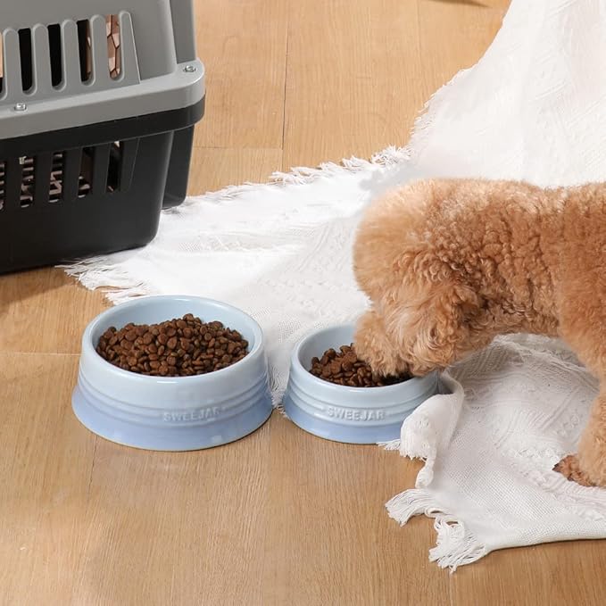 Sweejar Gradient Dog Bowl, Ceramic Dog Food Dish for Medium Dogs and Cat, Porcelain Pet Bowl for Food and Water 18 oz (Gradient Light Blue)