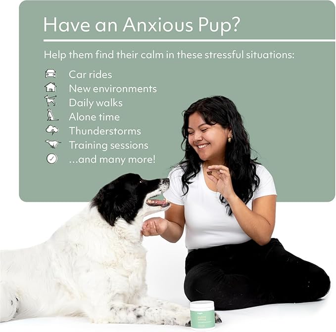 Reggie Anytime Calming Chews for Dogs | Natural Calming Dog Treats to Reduce Hyperactivity, Separation Anxiety, & Stress | Vet-Approved & Ideal for All Ages, Breeds, and Sizes (120 Count)