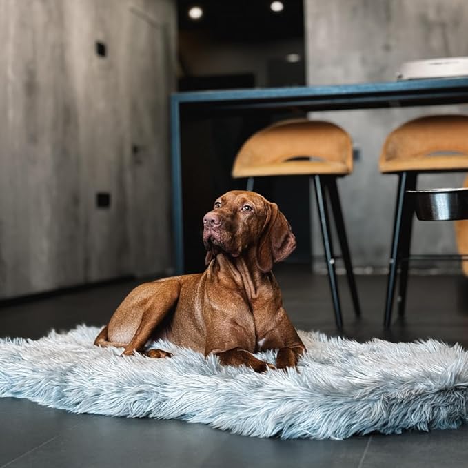 IHAPPYDOG Luxury Faux Fur Orthopedic Dog Bed, Memory Foam Dog Bed for Small, Medium, Large and XL Pets, Fluffy Pet Bed with Waterproof and Washable Cover (Grey, 40"x25")