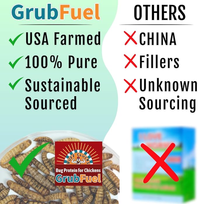 Grub Fuel Black Soldier Fly Larvae for Chickens - Nutrient-Packed BSFL, Sustainably Sourced Snack for Poultry, Rich in Protein, Calcium, Fiber, Essential Fatty Acids, USA Grown (1LB)