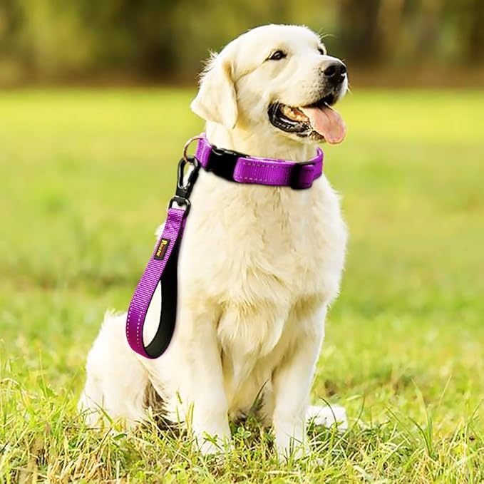 PLUTUS PET 10” Short Dog Leash, Reflective Nylon Padded Handle, Strong Traffic Leash with Carabiner Clip, Perfect for Large or Medium Dogs（10”，Purple