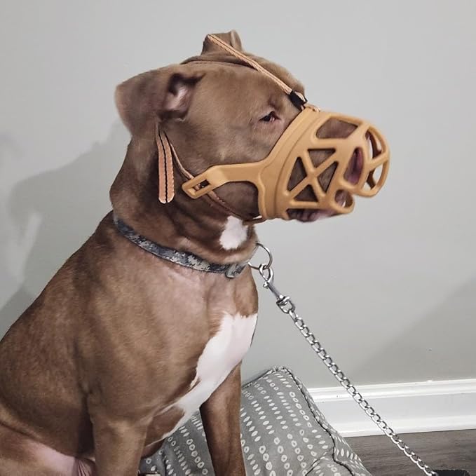 Mayerzon Dog Muzzle, Breathable Basket Muzzles for Small, Medium, Large and X-Large Aggressive Dogs Beagle German Shepherd Doberman, Cage Mouth Guard Stop Biting Chewing for Grooming Training