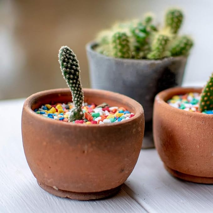 TOYPOPOR 6 lb Decorative Rocks, Mini Rainbow Gravel Pebbles Aquarium Gravel Mixed Color Stones Succulent Cactus Bonsai Gritty Mix Rocks for Top Dressing, Plants, Fish Tank, Lanscaping, Home Decor