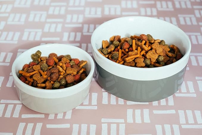 Waggo Dipper Ceramic Dog Bowl for Small and Large Breeds - Heavyweight and Durable Pet Food and Water Dish Crock, Dishwasher Safe, Modern (Light Grey, Large)