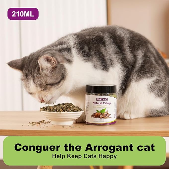 210ML Organic 100% Natural Catnip Cattle Grass Mint Taste Funny Cat Toy New Cat Toy Interactive Cat Toys Pet Supplies