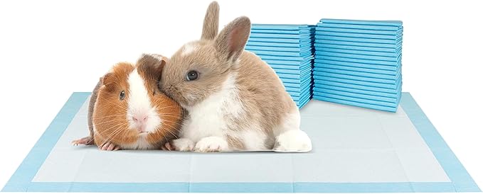 BV Small Puppy Pads 100 Count 17"x24" - Leak-Proof & Absorbent Pee Pads For Dogs with 6-Layer Design, Rapid Dry Sheet & Built-In Attractant - Dog Pad with Odor Control, Perfect for Puppies&Senior Dogs