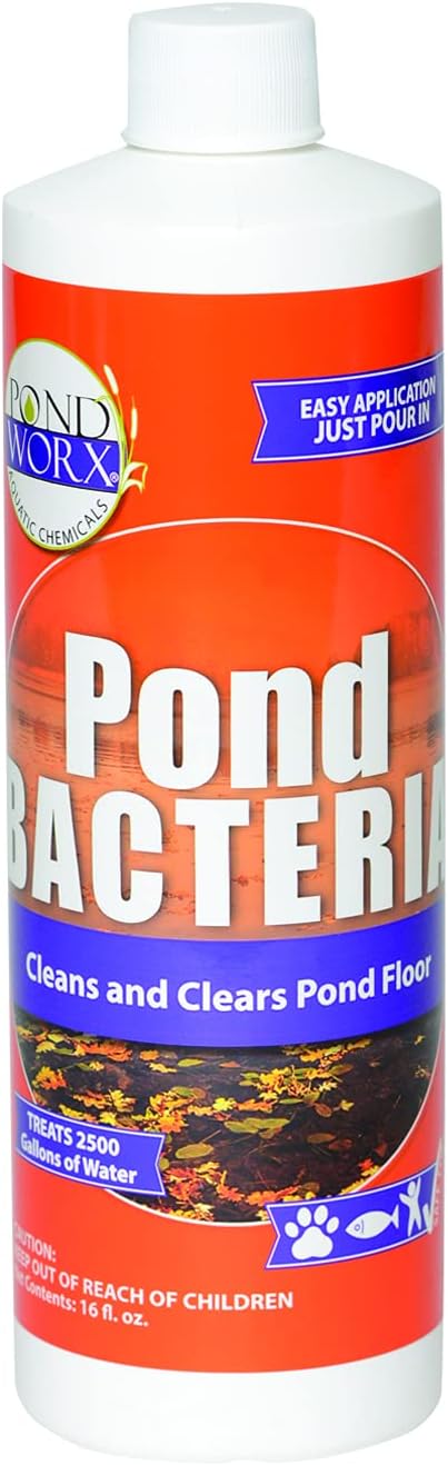 Pondworx Pond Bacteria - Concentrated & Formulated for Water Features - Safe for Koi - 16 Ounces & Treats up to 2,500 gallons of Water