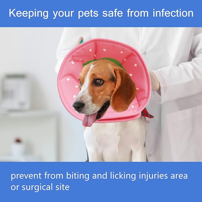 Soft Dog Cone, Lightweight Elizabethan Collar for Dogs, Adjustable Soft Cones for Dogs/Cats to Stop Licking After Surgery, Cute Strawberry Cone of Shame Alternatives for Pets(Large)