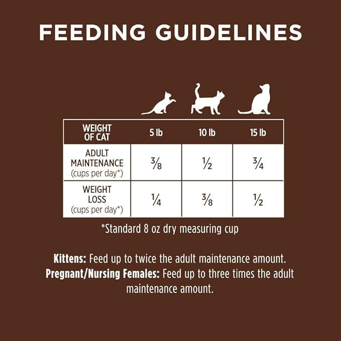 Instinct Original Dry Cat Food, Raw Coated Kibble, High Protein, Grain Free Recipe - Real Rabbit, 4.5 lb. Bag