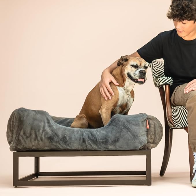 FUZI Luxury Aesthetic Dog Bed for Large Dogs with Washable Cover, Pet Couch, Pet Bed with Sides, Non-Slip Bottom, Soft and Durable Calming Dog Bed, Large 35.6x28.5x9.5 Dark Grey