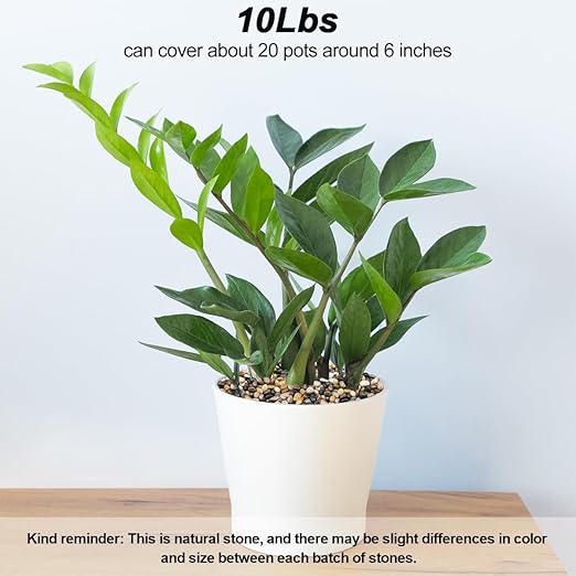 Fish Tank Rocks,Virekm River Rocks, Decorative Ornamental Pebbles Garden Landscaping Stones Gravel Filler for Home Decoration Flower Bed Fish Tank Plants Vases Succulents (10 Pounds)