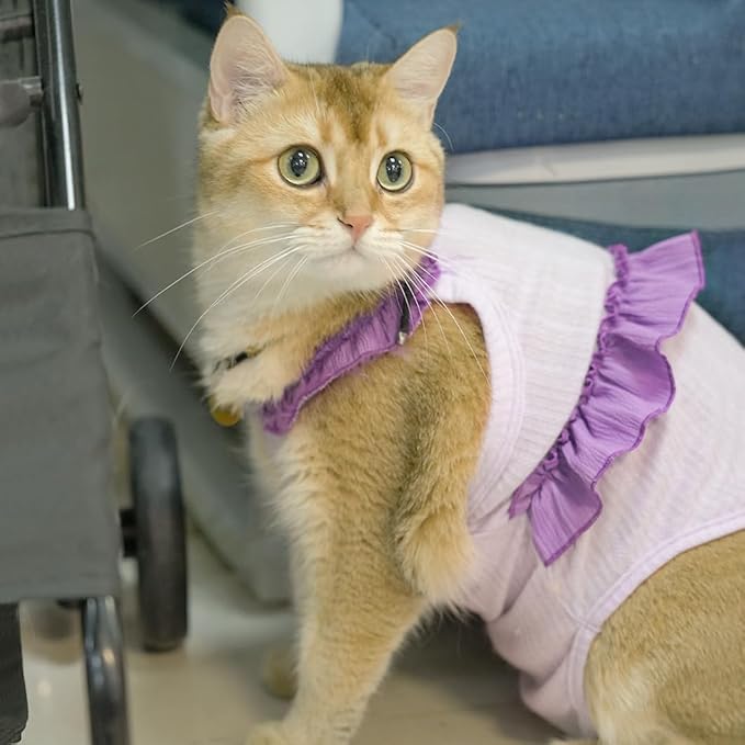 Cat Recovery Suit,Kitten Onesie After Surgery,E-Collar Alternative for Abdominal Wound and Skin Diseases,Soft Breathable Bodysuit After Spay（Purple-XL）