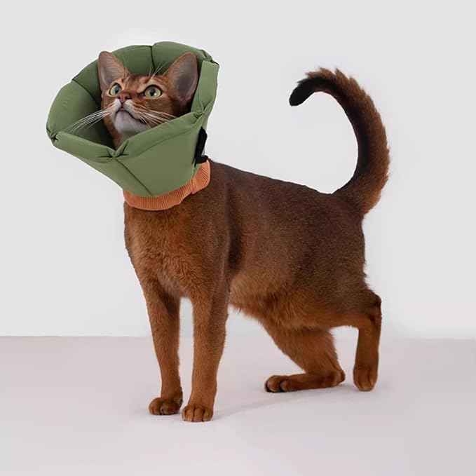 Cat Cone Collar - Soft Waterproof Elizabethan for Cats, Cute Green Flower Anti-Lick Recovery Collar, Adjustable Healing Collar for Wound Care & Surgery，L