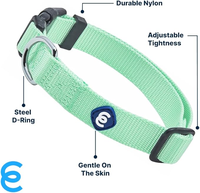 Blueberry Pet Essentials Small Dog Collar in Pastel Green | Adjustable & Eco-Friendly Durable Nylon Strap | Classic Collar for Small Dogs, Boy & Girl Pets