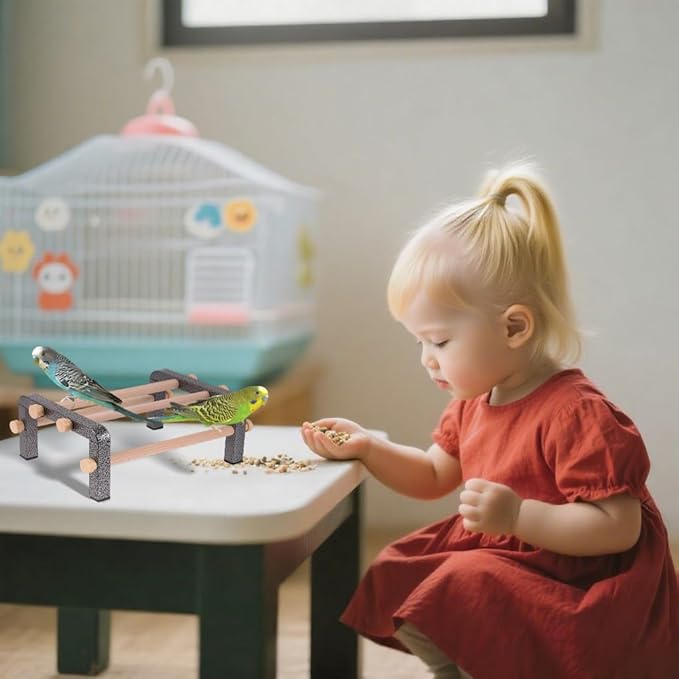 Small Bird Parrot Training Perch Stand for Parakeet Budgies Cockatiel Conure, Durable Heavy Duty Rustproof Metal Frame with 4 Wooden Bars for Bird to Play Climb and Exercise Table Toy