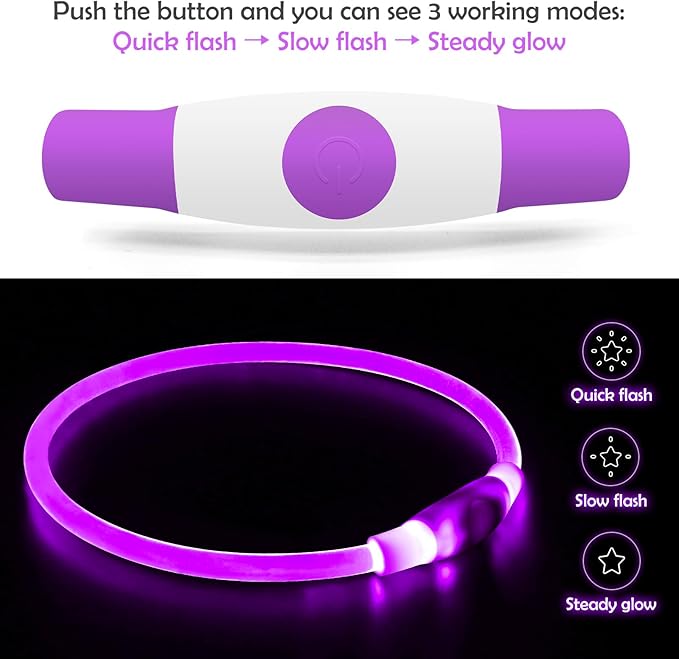 Light up Dog Collar, BSEEN USB Rechargeable Flash Dog Necklace Light, Pet Safety Collar Makes Your Beloved Dogs Be Seen at Night for Small Medium Large Dogs(Purple)